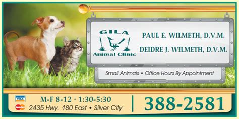 Expert Pet Care: Discover Gila Animal Clinic Silver City NM for Top Veterinary Services
